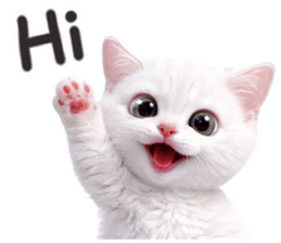 ลายที่ 47