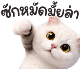 ลายที่ 55