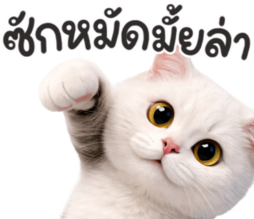 ลายที่ 28