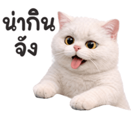 ลายที่ 57