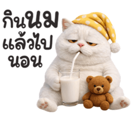 ลายที่ 61