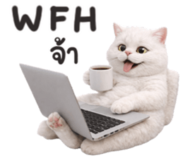 ลายที่ 63