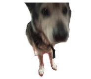 833551614