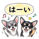 833575327