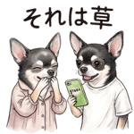 833575334