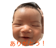 833580028
