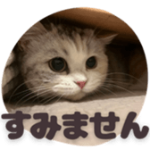 833582430