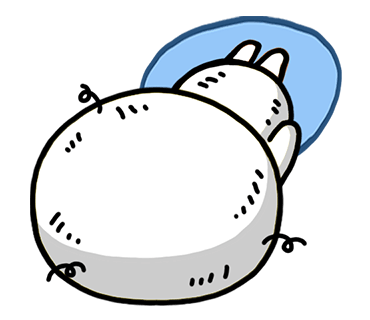 ลายที่ 17