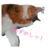 833591916