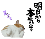 833591918