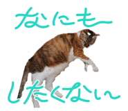 833591919