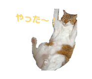 833591927