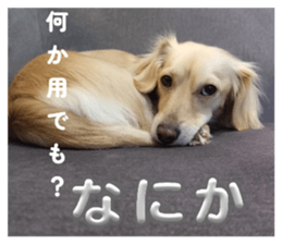 833593067