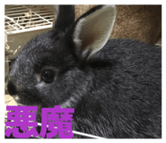 833593768