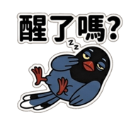 833600335