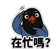 833600353