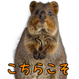 833602090