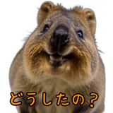 833602118