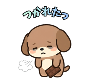 833605117
