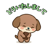 833605125