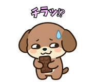 833605126
