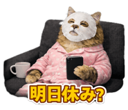 833608080