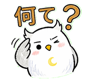 833608746