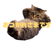 833619684