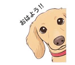 833639836