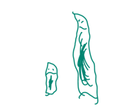 833640107