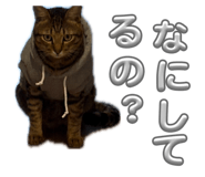833641887