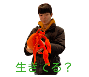 833642539