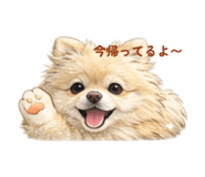 833652560