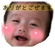 833652690