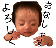 833652691