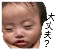 833652706