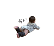 833653884