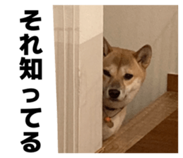 833658260