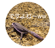 833658572