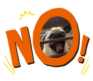 833663419