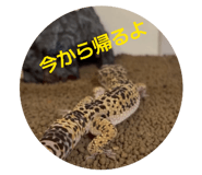 833664504