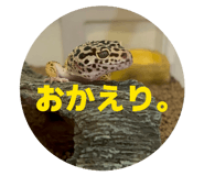833664506