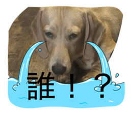 833664639