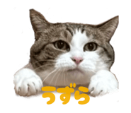 833664729