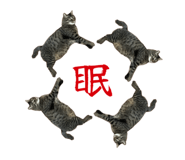 833664737