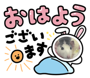 833665177