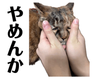 833665526