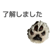 833665579