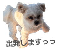 833665599
