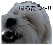 833665616